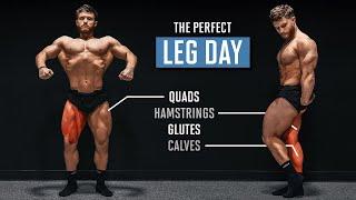 The Perfect Leg Day (According To Science)