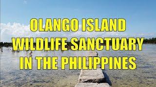 Olango Island Wildlife Sanctuary In The Philippines.