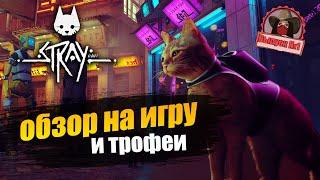 Stray. Обзор игры и трофеев. Стоит ли играть и брать платину? (Kamila, PS5)