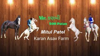 mitulpatel karanasavfarm