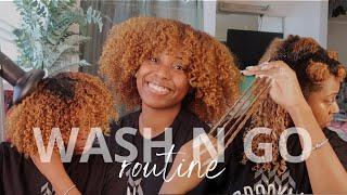 Updated Winter Wash N Go Tutorial | 3c/4a Natural Hair | Mia Ashanti 