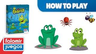 How to play El Rey de la Charca | Falomir Juegos