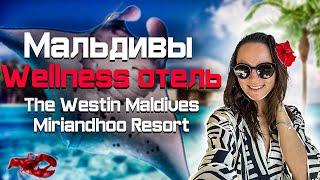 Мальдивские острова , шикарный домашний риф. Обзор отеля The Westin Maldives Miriandhoo Resort 5*