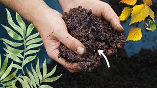 How to STOP Buying Compost (Tips For Compost Self-Sufficiency)