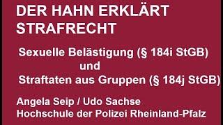 Der Hahn erklärt Strafrecht §§ 184i und 184j StGB Stand 03 02 2021