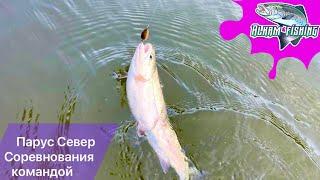 Fox trout team. Первое выступление. МФК 2023. Соревнования по ловле форели