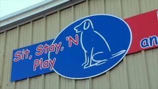 Sit, Stay, 'N Play | Dog Trainer in Stroudsburg, PA