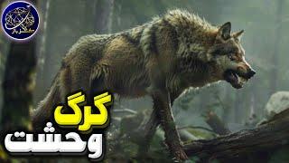 گرگ وحشت، وحشی ترین و کشنده ترین سگ سان منقرض شده