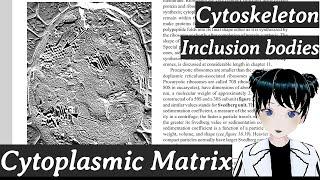 Cytoskeleton| Inclusion Bodies| Cytoplasm p1| Prescott's Micro| Day 24| Ch 3| Prokaryotic structure