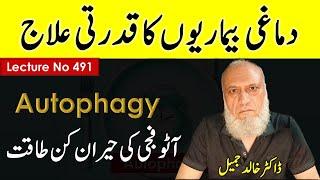 AUTOPHAGY IS BEST FOR BRAIN DISORDERS  | Lecture 491 - Dr Khalid Jamil