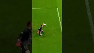 Spectacular Goalkeeper Saves 