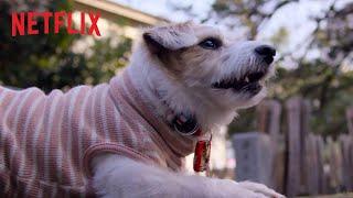 『ドッグ・ストーリー: あなたは一番の友達』公式予告編 - Netflix [HD]