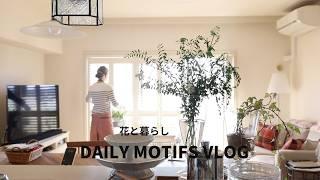 |Removing curtains and installing wooden shutters|Lifestyle at 66| #SeniorLife #vlog