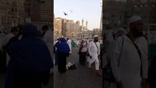 #shorts !! Monis shafeeque Makkah madina vlog