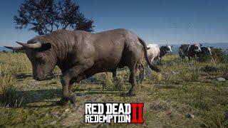 ESTOURO DE BOIADA, fugindo com as vacas - Red Dead Redemption 2