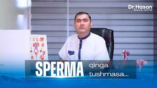 SPERMA QINGA TUSHMASA HAM HOMILADOR BO’LISH MUMKINMI? | DOCTOR HASAN MEDICAL CENTER