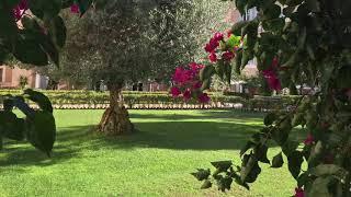 kolbe hotel rome   garden dream