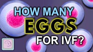 IVF Success Tips: How many eggs or embryos do you need to find one that is normal?
