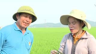 Hoạt động Khuyến nông Hà Tĩnh giai đoạn 2023-2025