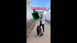Where are you going to run? #Laughing Family#funny #Funny Videos #asmr