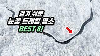 Most Beautiful Snowflake Trekking Course 8 in KOREA