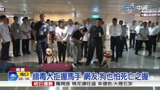 【中視新聞】緝毒犬拒握馬手 網友:狗也怕死亡之握 20150613