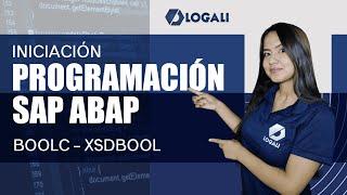 Curso Programación ABAP Iniciación - BOOLC – XSDBOOL