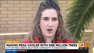 City of Mesa looking to plant 1 million trees by 2050