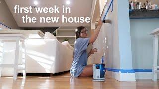 moving vlog — making the new house into a home