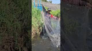 Trending Fishing trap