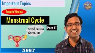 Menstrual Cycle Part 2 - Uterine cycle I NEET I Dr Kunal Tatte (KT)