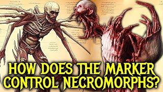 Necromorphs Anatomy Explored - How Intelligent Are Necromorph? How Can You Stop Necromorph Epidemic?