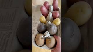 How to grow your own potatoes at home 