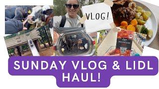 SUNDAY VLOG & LIDL HAUL!