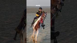 #horse #viralvideo #horseridding #foryou #horselover ##foryourpage #fyp #shorts #gaming #subscribe