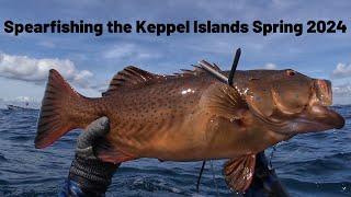 Spearfishing the Keppel Islands Spring 2024