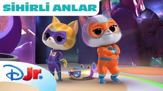  Kırmızı Lazer Noktası | Süper Kediler | Disney Kids Türkiye