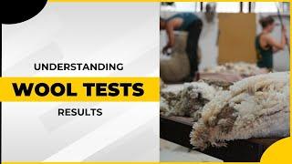 Understanding wool test results | What to look for when buying rams