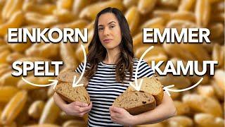 Battle of the Ancient Grains: Spelt vs Einkorn vs Emmer vs Kamut wheat