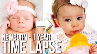 Adorable Newborn to One Year Time Lapse