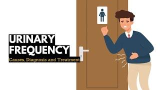 Urinary Frequency, Causes, Signs and Symptoms, Diagnosis and Treatment.
