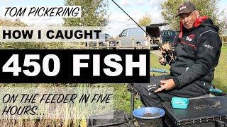 Tom Pickering | 450 Feeder Fish (In Five Hours)