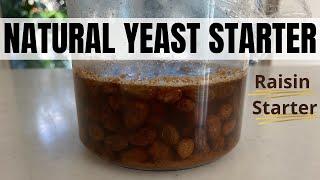 How to make  NATURAL YEAST STARTER from Raisins Part 1 (EP 295)