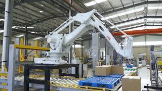 Fully automated packaging line for palletizing cartons to pallets，New projects in October