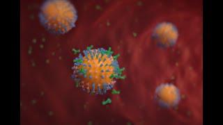 Developing a Universal Flu Vaccine