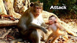 Painful Evil Mum Anna Try Fight Her Baby Alba | So Smart Skinny Baby Alba Fast Run From Hurt