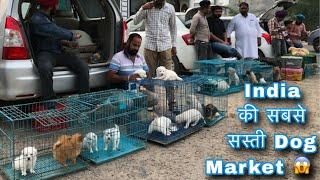 India की सबसे सस्ती Dog Market  ₹4500 only ‍ part,2 #dog #puppy