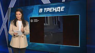  Атака на здание ФСБ в Новосибирске! Неизвестный устроил поджог и попал на видео ГУР! | В ТРЕНДЕ