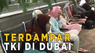 TKI yang terdampar di Dubai tanpa kepastian | JELANG SIANG