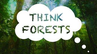Think Forests